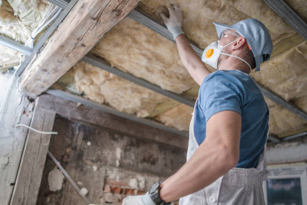 Best Insulation Maintenance and Repair in Fort Scott, KS
